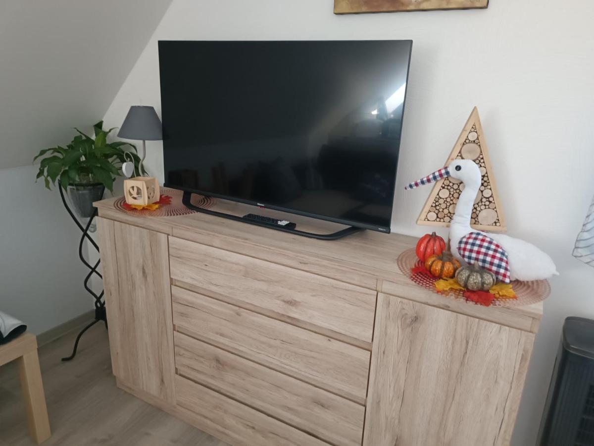 Au Fil Du Bonheur Studio Surbourg Exteriör bild